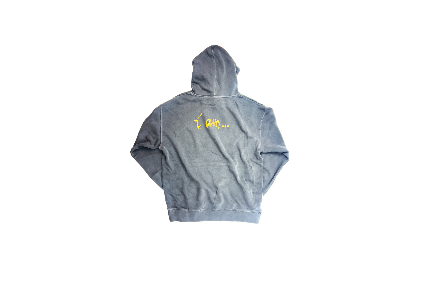 Rare Willie Esco X Nas " I Am" Tour Merch Hoody